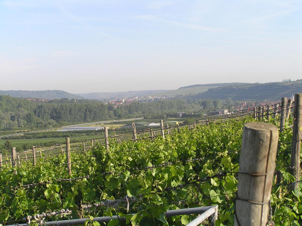 Ferienwohnung Am Alten Berg Оксенфурт Экстерьер фото